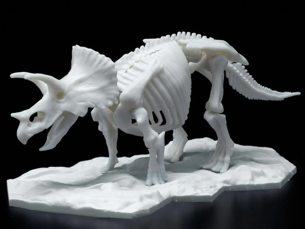 Dinosaur Skeleton Triceratops Model Kit - Image 5
