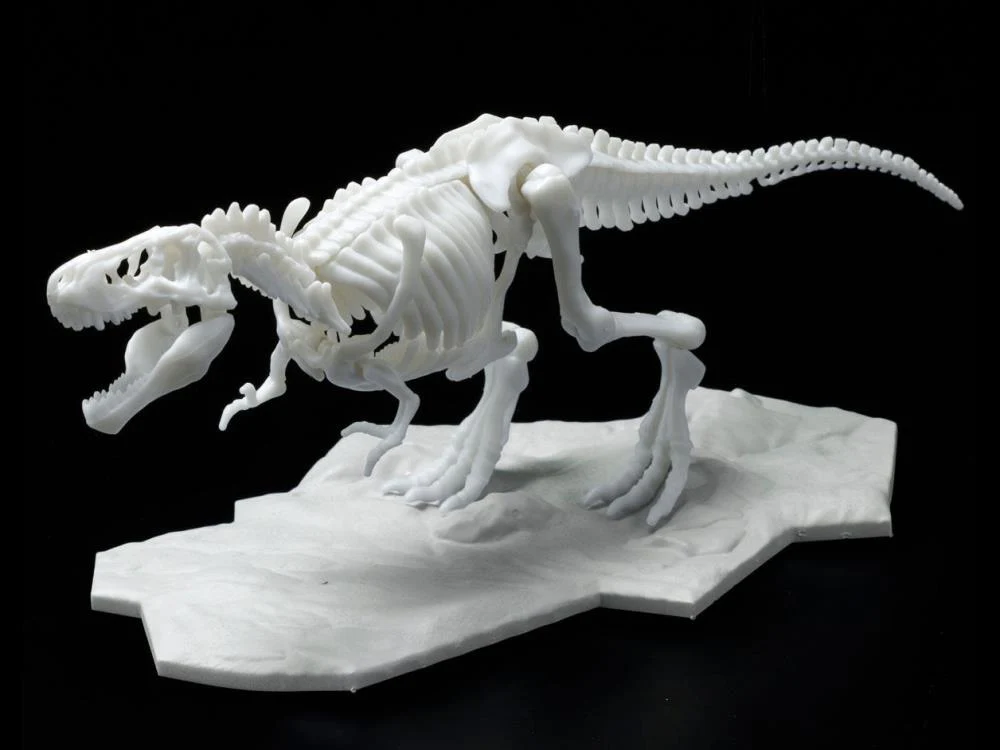 Dinosaur Skeleton Tyrannosaurus Rex Model Kit - Image 2