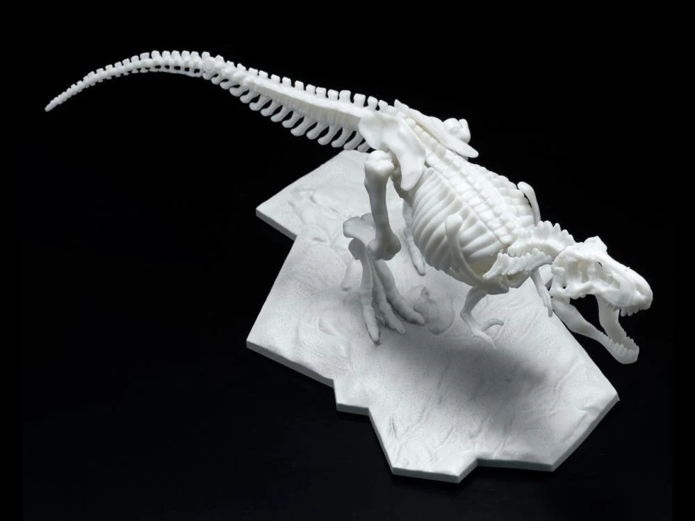 Dinosaur Skeleton Tyrannosaurus Rex Model Kit - Image 4
