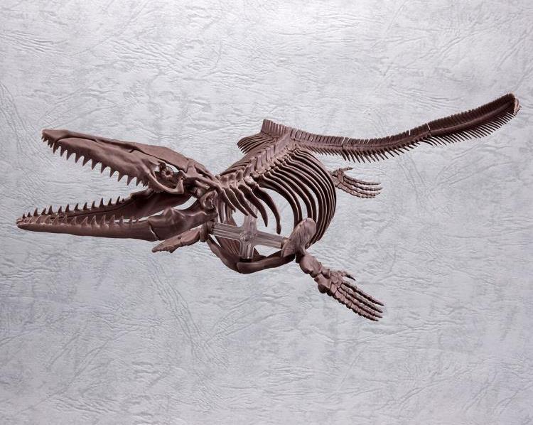 Imaginary Skeleton Mosasaurus 1/32 Scale Model Kit - Image 2