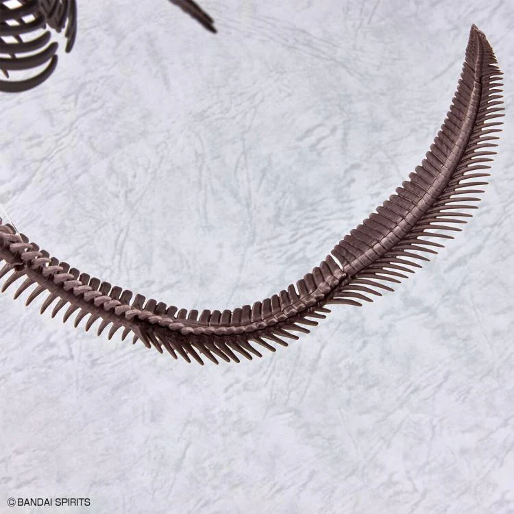 Imaginary Skeleton Mosasaurus 1/32 Scale Model Kit - Image 8