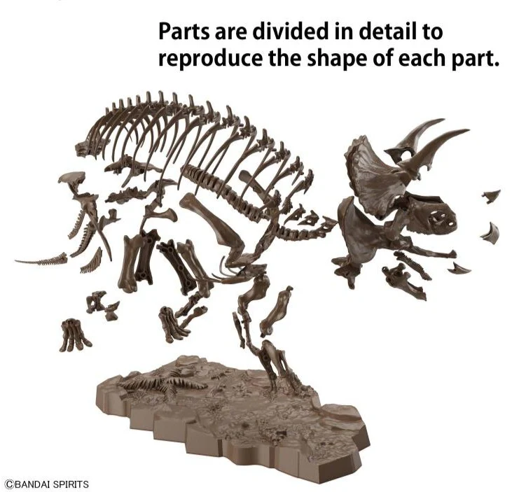 Imaginary Skeleton Triceratops 1/32 Scale Model Kit - Image 5