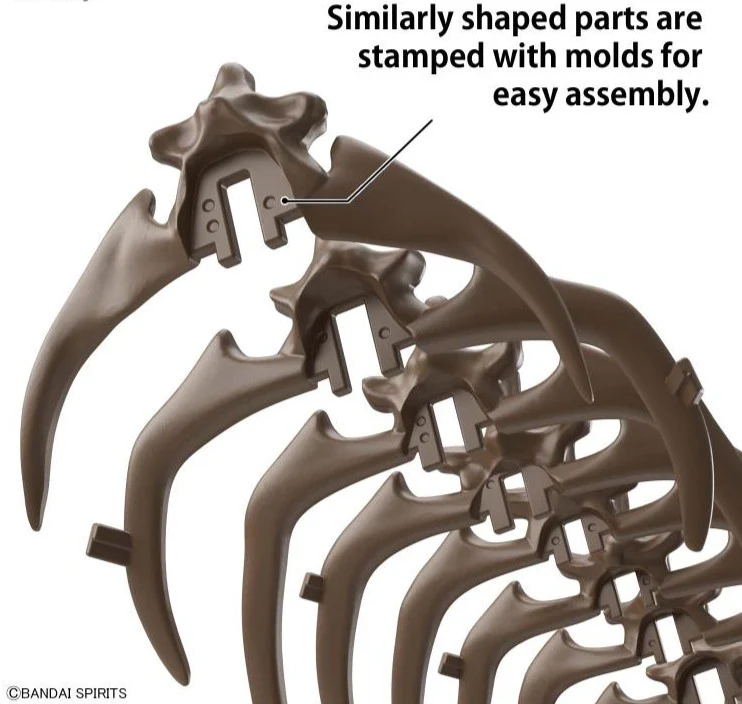 Imaginary Skeleton Triceratops 1/32 Scale Model Kit - Image 7