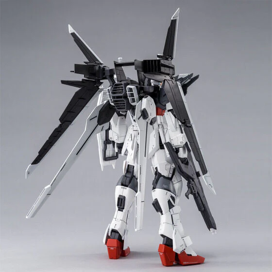 MG Gundam Ex Impulse - P-Bandai - Image 3