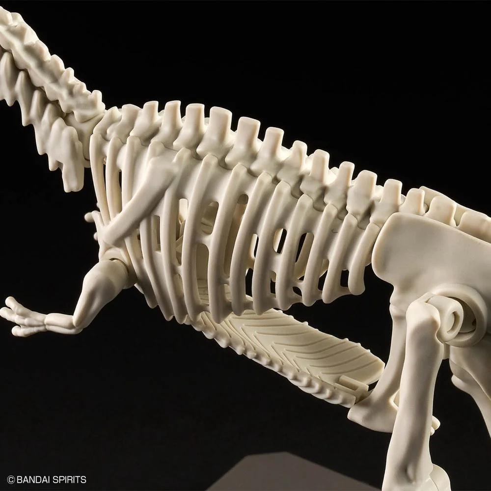 Plannosaurus Giganotosaurus Model Kit - Image 11