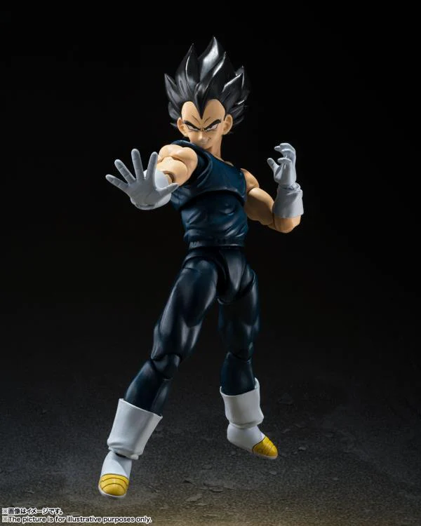 S.H.Figuarts Vegeta (Super Hero) - Image 5